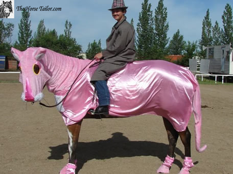 Pink Panther Costume - The Horse Tailor